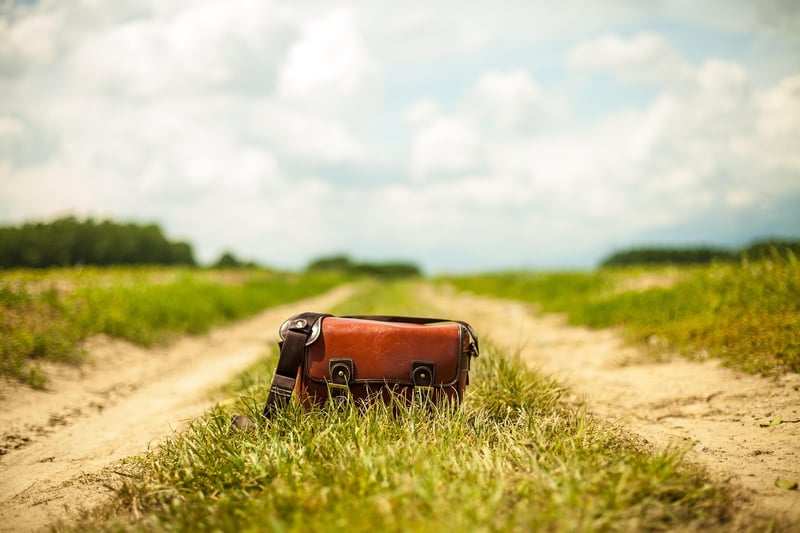 Handbag
